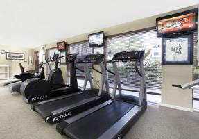 Fotos del hotel - HOLIDAY INN CORAL GABLES