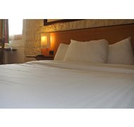 Fotos del hotel - Brit Hotel Bosquet - Pau Centre