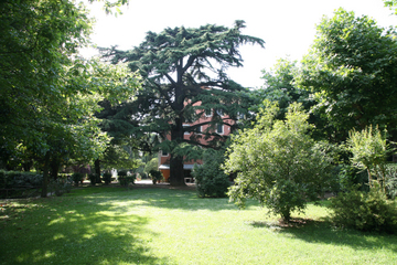 Fotos del hotel - PARK HOTEL LE SORGENTI
