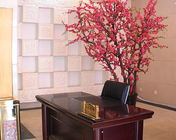 Fotos del hotel - BO TAI