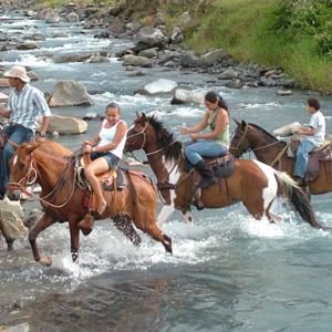 Fotos del hotel - BLUE RIVER