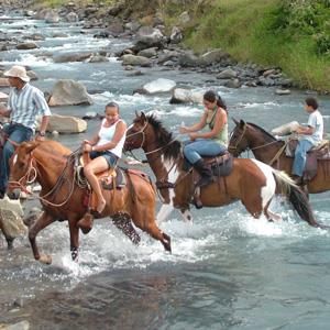 Fotos del hotel - BLUE RIVER