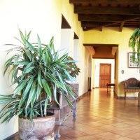 Fotos del hotel - VILAFLOR HOTEL
