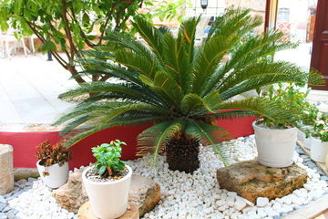 Fotos del hotel - PUDING SUITE