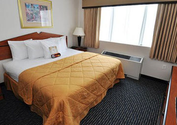 Fotos del hotel - COMFORT INN AND SUITES