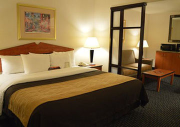 Fotos del hotel - COMFORT INN AND SUITES