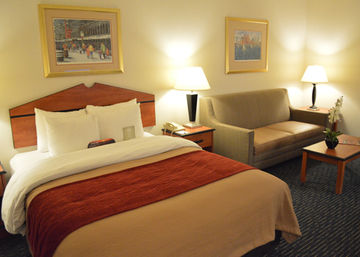 Fotos del hotel - COMFORT INN AND SUITES