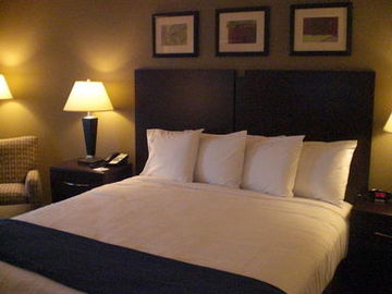 HOLIDAY INN EXPRESS HOTEL AND SUITES CLOVIS-FRESNO AREA