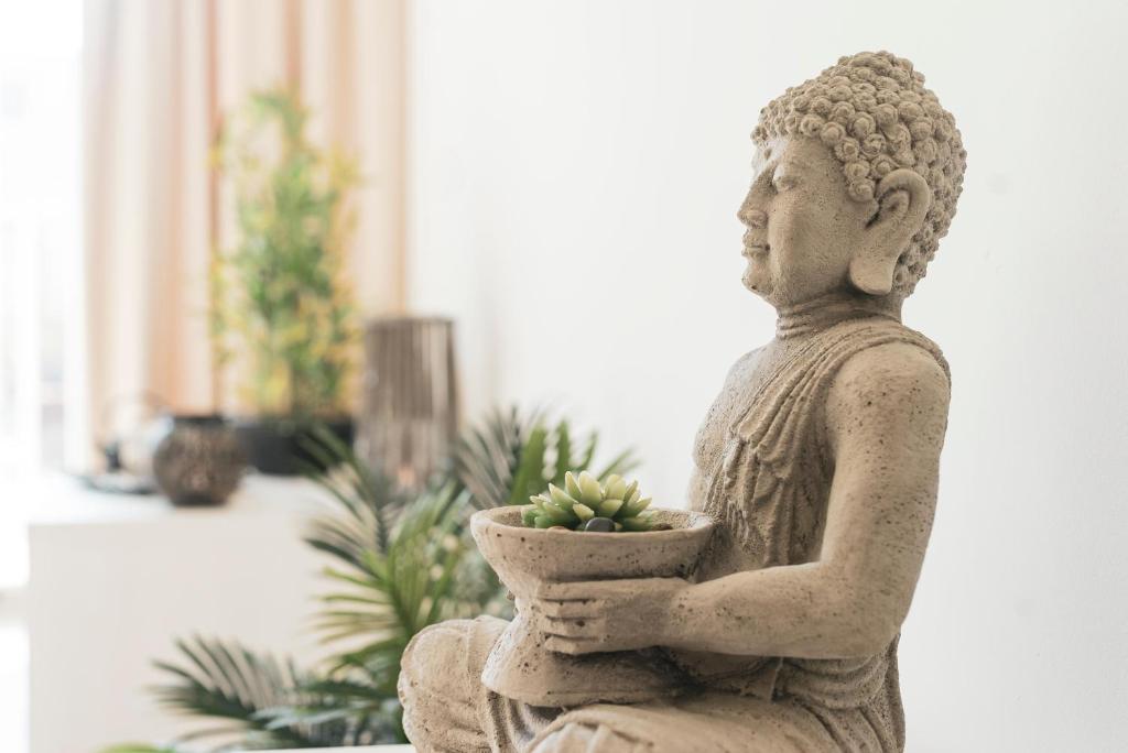 Fotos del hotel - HOTEL PUCHET