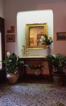 Fotos del hotel - DELLE PALME