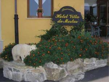 Fotos del hotel - Hotel & Spa Villa de Mestas