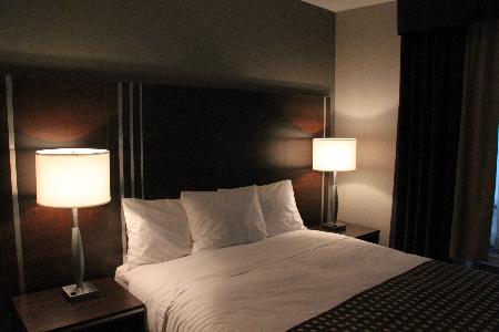 Fotos del hotel - COMFORT INN TORONTO CITY CENTRE