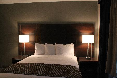 Fotos del hotel - COMFORT INN TORONTO CITY CENTRE