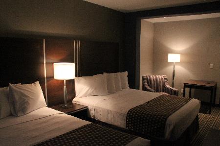 Fotos del hotel - COMFORT INN TORONTO CITY CENTRE