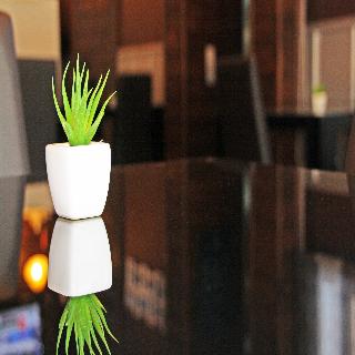 Fotos del hotel - Hotel Arbre De Neu