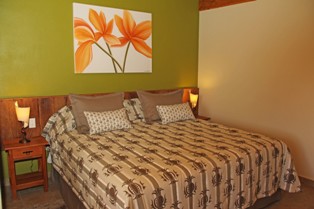 Fotos del hotel - PAIOL POUSADA