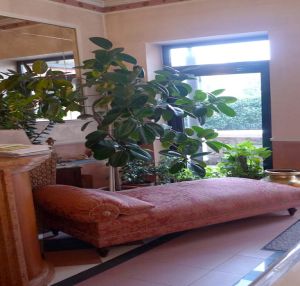 Fotos del hotel - BORGHETTI