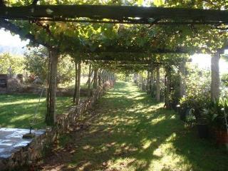 Fotos del hotel - PAZO DE GALEGOS