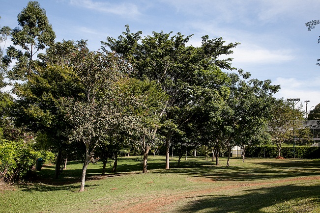 Fotos del hotel - ITU PLAZA
