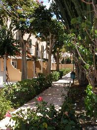 Fotos del hotel - GREEN OASIS CLUB
