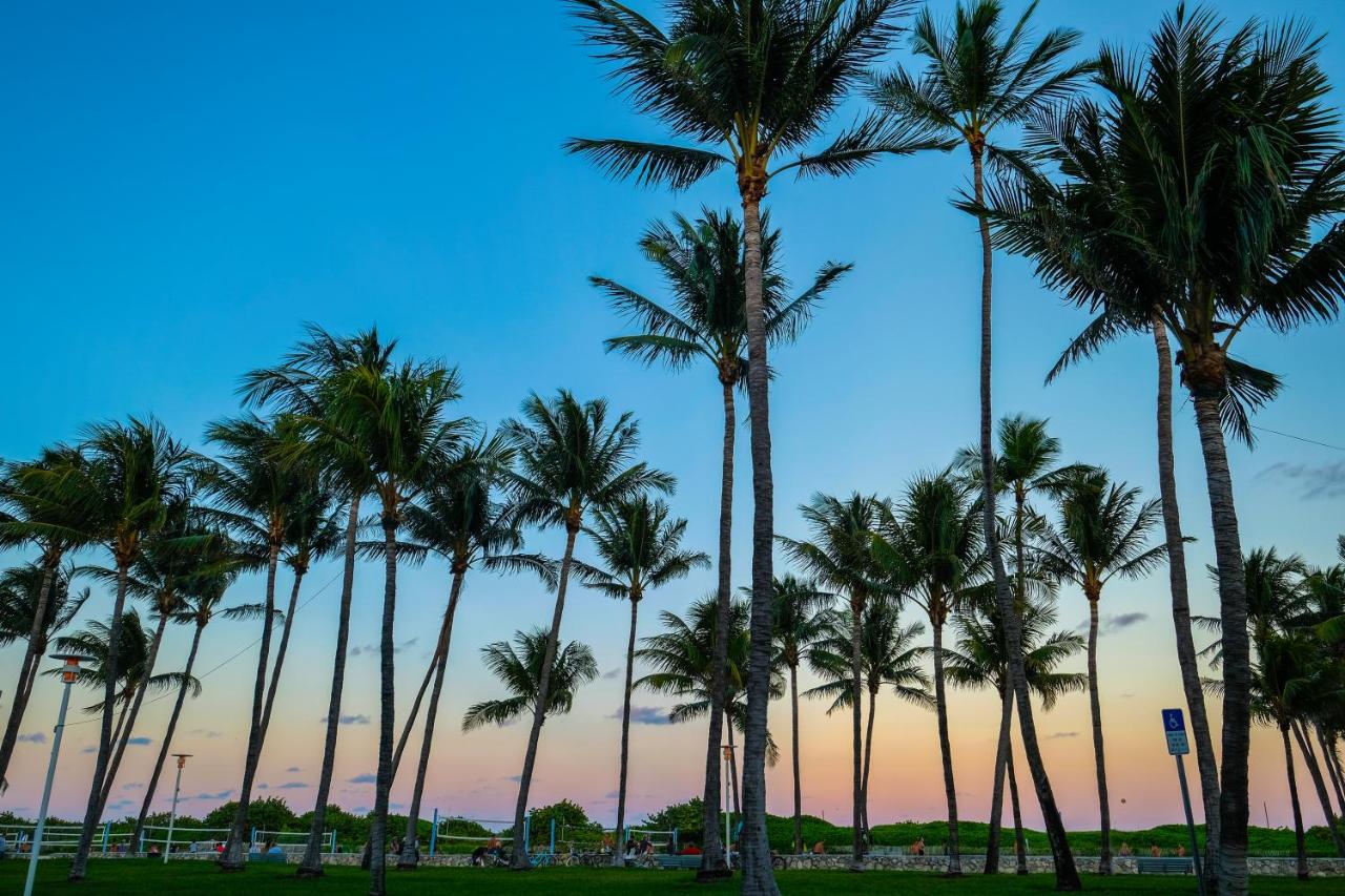 Fotos del hotel - AVALON