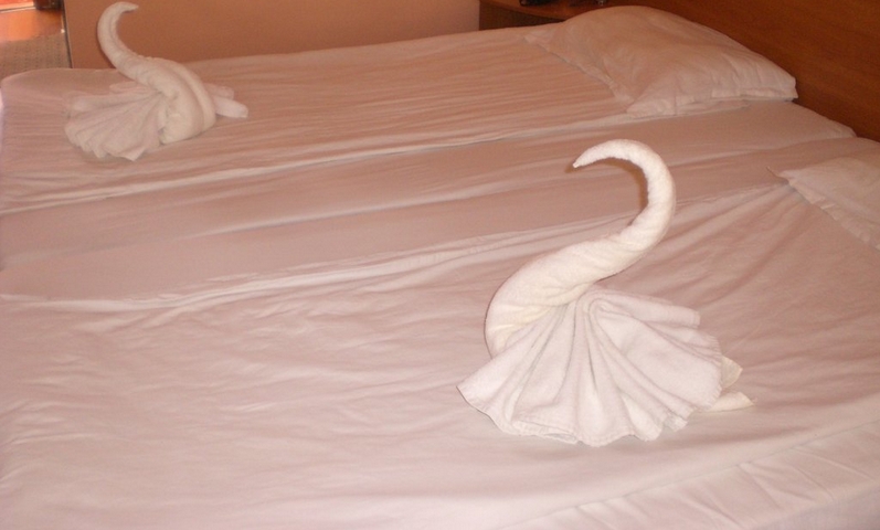 Fotos del hotel - Flamingo Beach Hotel