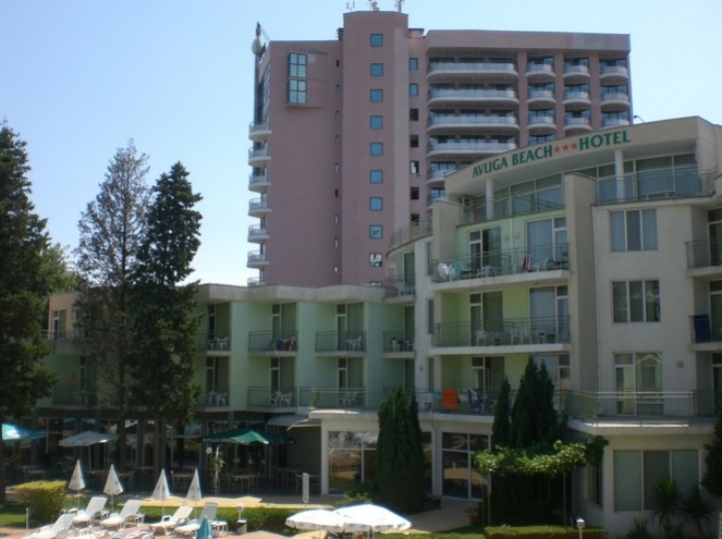 Fotos del hotel - Flamingo Beach Hotel