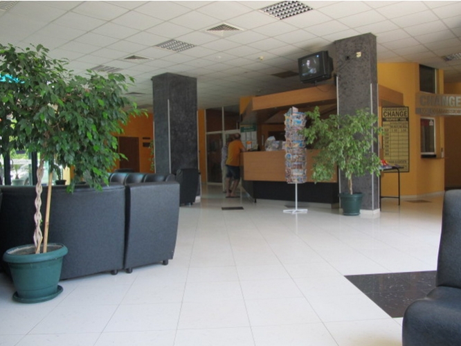 Fotos del hotel - Flamingo Beach Hotel