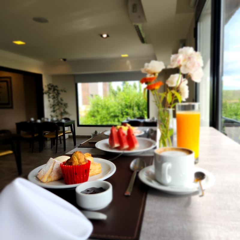 Fotos del hotel - XELENA HOTEL AND SUITES