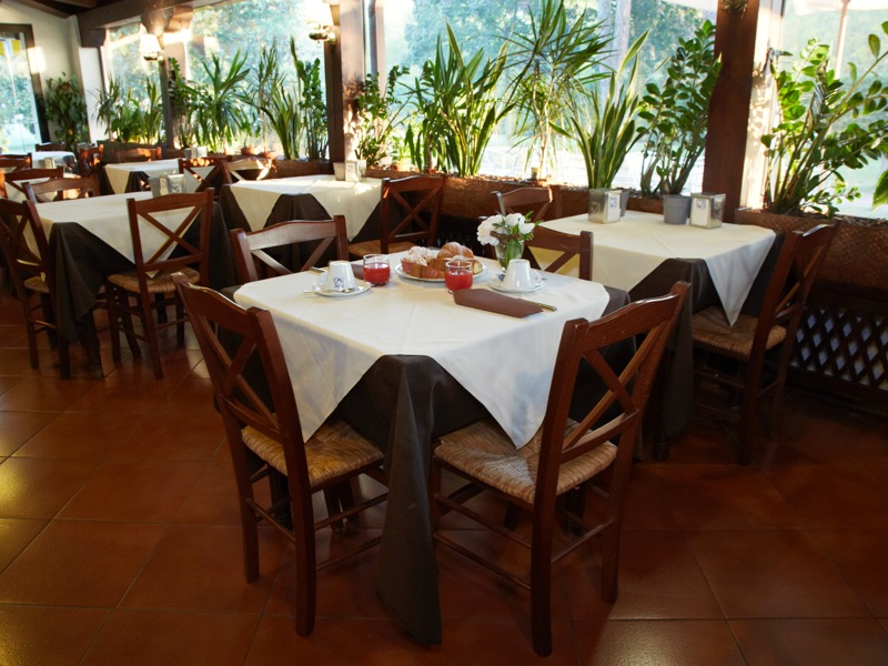 Fotos del hotel - Green Garden Resort