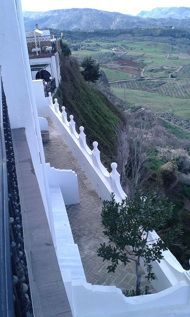 Fotos del hotel - Casa Palacio Villazambra