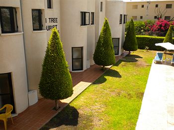 Fotos del hotel - LEFKI TREE TOURIST APARTMENTS