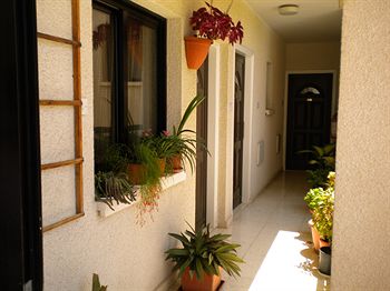 Fotos del hotel - LEFKI TREE TOURIST APARTMENTS