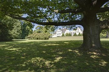 Fotos del hotel - Comwell Borupgaard