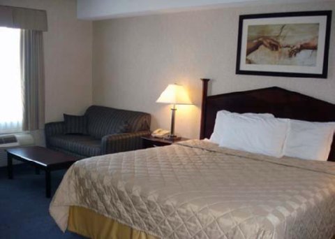 Fotos del hotel - Comfort Inn Mississauga
