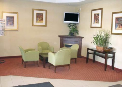 Fotos del hotel - Comfort Inn Mississauga