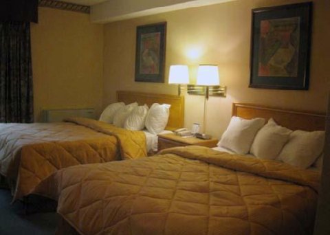 Fotos del hotel - COMFORT INN EAST