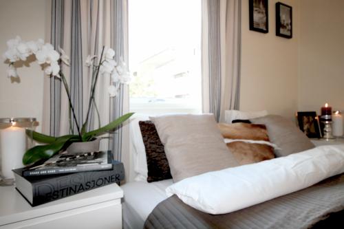 Fotos del hotel - GRUNER APARTMENTS