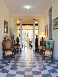 Fotos del hotel - POSADA DEL ARBOL