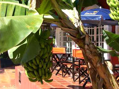 Fotos del hotel - HOTEL POSADA IGUAZU ROYAL