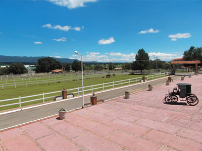 Fotos del hotel - HOTEL RANCHO GRAN RELAX
