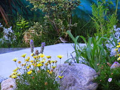 Fotos del hotel - GRAN ALDEA HOTEL