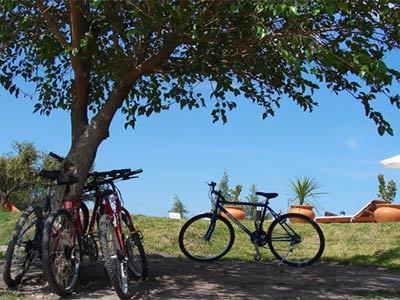 Fotos del hotel - DOS AGUAS GEO GLAMPING