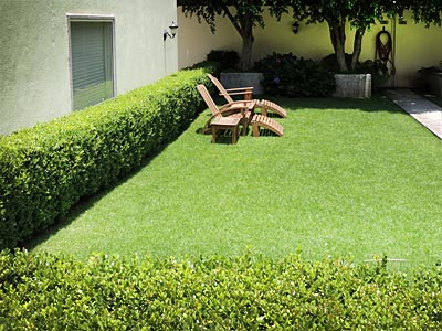 Fotos del hotel - SUITES OBELISK