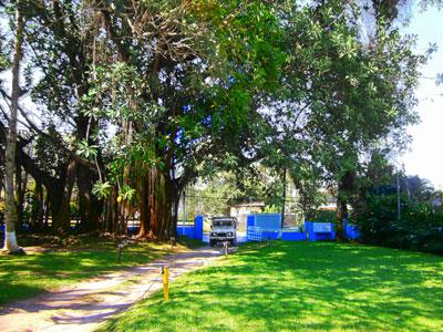 Fotos del hotel - CARAVELA POUSADA BROMELIAS