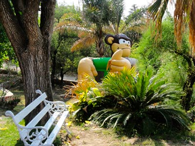 Fotos del hotel - La Colina del Sol Resort