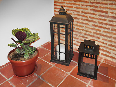 Fotos del hotel - CASA LA SIERPE