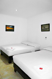 Fotos del hotel - ARTHUR HOSTEL