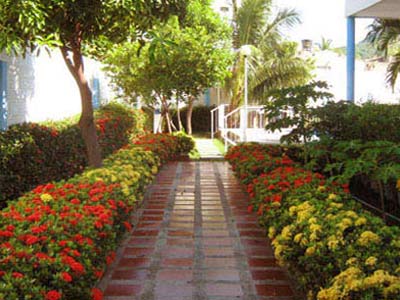 Fotos del hotel - HOTEL PALMA BLANCA