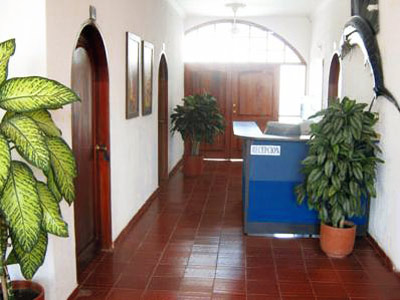 Fotos del hotel - HOTEL PALMA BLANCA